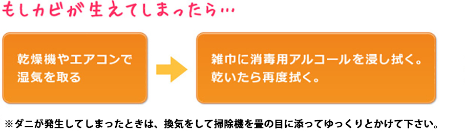 もしカビが生えてしまったら…